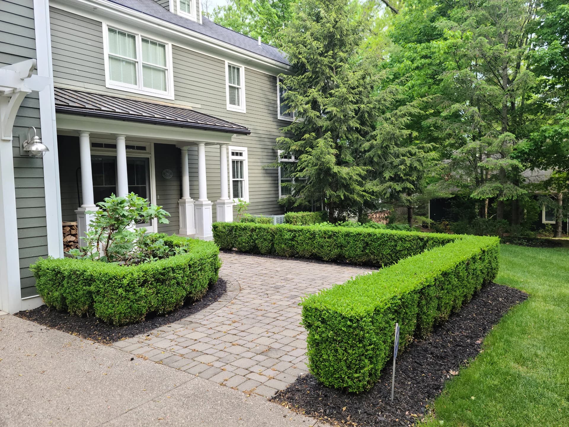 Manicured boxwood hedges framing a paver walkway at a Southwest Michigan home